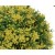 Sztuczna-roslina-w-doniczce-sukulent-ozdobny-13-cm-Kod-producenta-X11565.jpg