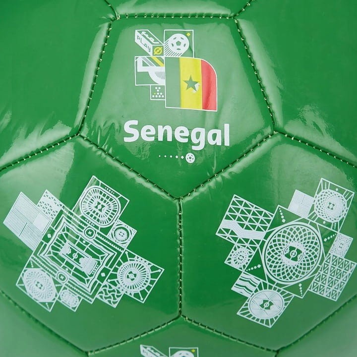 9 senegal 3.jpg